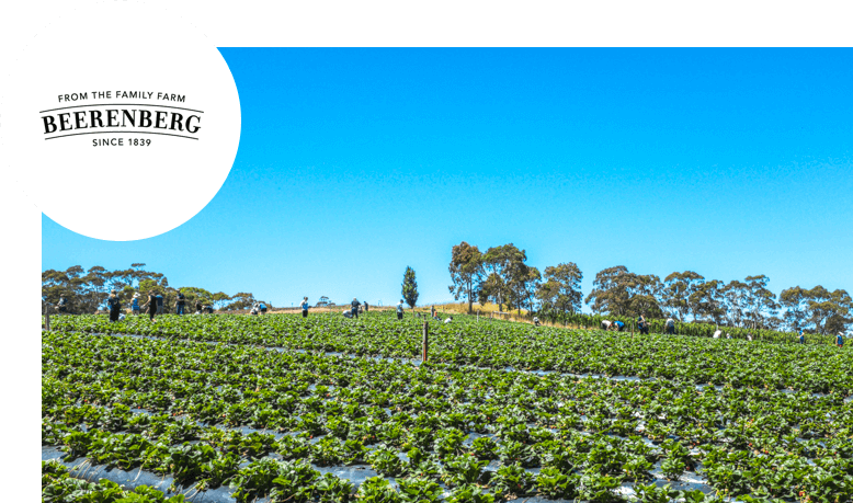 Beerenberg Family Farm